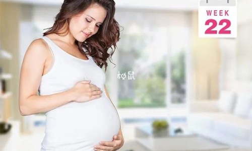 权威孕妇去了一次有猫的朋友家怎么办平台,分享专业孕妇去了一次有猫的朋友家好吗知识_孕妇去了一次有猫的朋友家网